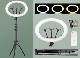 Têtes de flash 18 pouces 45 cm LED Ring Light avec trépied de 19 m Lampe d'éclairage de photographie Po Studio Ringlight pour YouTube Maquillage Video7750349