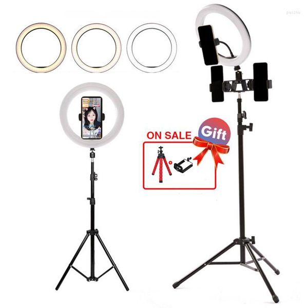 Cabezales de flash 26 cm / 10 pulgadas / 16 cm LED Selfie Ring Light Lámpara regulable Po Video Camera Phone para Live YouTube Fill