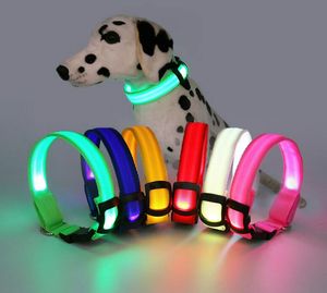 Clignotant colliers de chien 4 tailles nuit sécurité lumière LED brillant en Nylon collier de chien de compagnie chiot flash laisse collier de sécurité