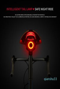 Lampe de poche pour feu arrière de vélo, détection de freinage automatique, Charge USB, LED, tige de selle de vélo de montagne, feu arrière de cyclisme, Acce4422396