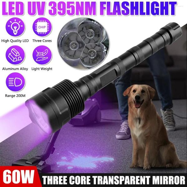 Linternas Antorchas 60W 395nm LED Linterna UV Antorcha ultravioleta Lámpara de luz púrpura Zoom recargable Detector de manchas de orina de mascotas negras