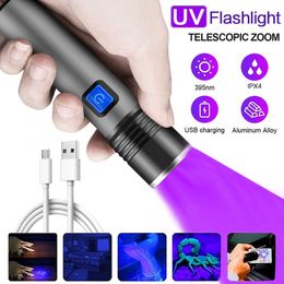 Lampes de poche torches E5 rechargeable LED lampe de poche UV torche ultraviolette Zoomable Mini 395nm UV lumière noire détecteur de taches d'urine pour animaux de compagnie Scorpion chasse P230517