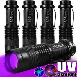 Lampes de poche Torches LED UV Violet Lumière Ultraviolet Zoomable Taches d'urine pour animaux de compagnie Détecteur d'agent fluorescent Outils de chasse au scorpion