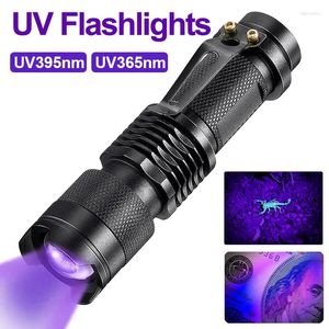 Lampes de poche Torches Mini lampe de poche UV LED 365/395nm torche portable ultraviolette 3 modes zoomable lumière violette détecteur de scorpion d'urine pour animaux de compagnie