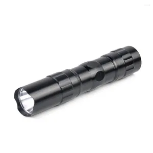 Lampes de poche Torches Pocket Pen Light Mini Portable LED 1 Mode Petite torche pour dentiste ou camping randonnée