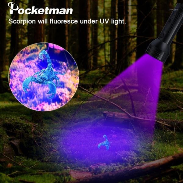 Lampes de poche torches UV violet lumière torche 51LED 21LED 12LED LED 395-400nm lampe détection de sécurité1