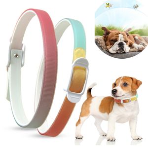 Flea and Tick Pet Collar Cat Chiens Mosquito Repulsion Prévention Natural Essential Huiles Essential Pippies Lavormable 12 mois Protection Protection HW0242