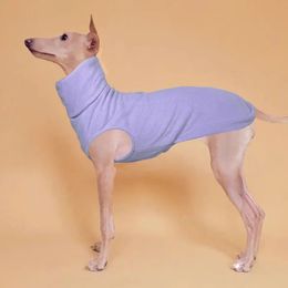 Suéteres de lã | Greyhound Whippet Italian Greyhound Vestuário Colete de lã com gola alta 240106