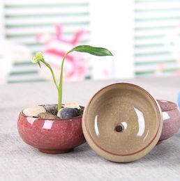 Pot de fleur charnu fleur glace fissure céramique bureau petit Pot de fleur artisanat en céramique trou de fond 4445416