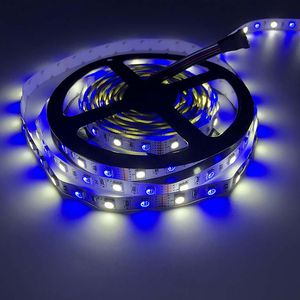 Lights LED flexibles Lights DC 12V Daylight White 6000K 3000K Double Row SMD5050 Tapission ￩tanche 5m pour chambre