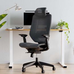 FLEXISPOT OC6 Chaise de bureau ergonomique à dossier haut avec accoudoir 3D à profondeur d'assise réglable (gris foncé)