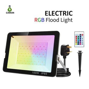 Reflector Exterior RGB 110V 220V 50 100 vatios LED Luz de inundación Seguridad Jardín Lámpara Foco cuadrado con enchufe