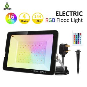 110 / 220V 50W 100W LED Floodlight Outdoor Waterdichte RGB-spot met US EU UK Plug en afstandsbediening