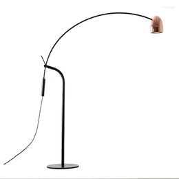 Lampadaires Lampe à LED Dernière conception Cuivre de pêche et éclairage de salon de chambre à coucher de couleur noire