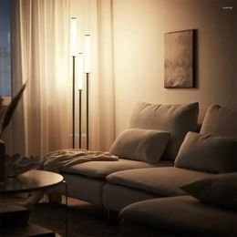 Vloerlampen woonkamer slaapkamer acryl elektrodeloze dimmende lamp grensoverschrijdende moderne eenvoudige led