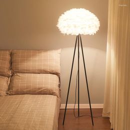 Lampadaires Nordique Moderne Simple Plume Lampe Romantique Princesse Chevet Salon Chaud Ins-Style Fille Chambre Éclairage Décoratif