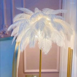 Vloerlampen Noordse struisvogel veerlamp woonkamer atmosfeer net rood standlicht voor verlichting vintage