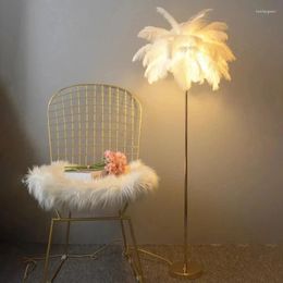 Lampadaires en plumes d'autruche, luminaire décoratif d'intérieur, idéal pour un salon, une Table ou un salon, prise ue, CX121B