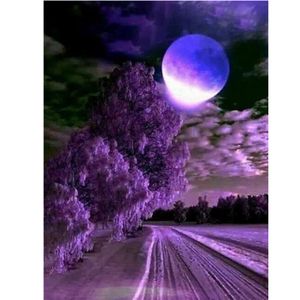 Flower-28.99 Cartoon Digitale Oil Painting Moon Night Scene Vul Geschikt voor volwassenen