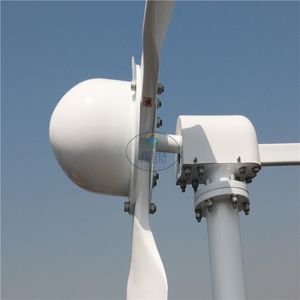 FLTXNY 2000W Générateur d'éoliennes horizontales 24V 48V avec une grille 2000W Tie MPPT Bult WiFi / Limiter