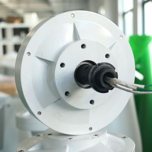 Fltxny Factory Outlet 800W Générateur d'aimant permanent 12V 24V 48V 3 phase 250 tr / min Alternateur imperméable pour le bricolage New Energy Wind
