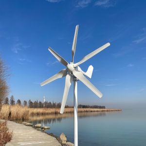 FLTXNY Small Wind Turbine Generator geschikt voor Home Lights Windmill 800W met controller cadeau alle sets met 5 jaar garantie