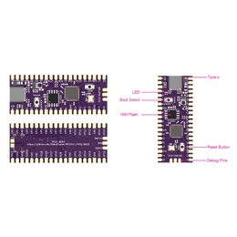 Pour Raspberry PicoBoot Pi Pico Board IPL Remplacement ModChip et Adaptateur SD2SP2 Lecteur de carte GC2SD pour la console de jeu GameCube