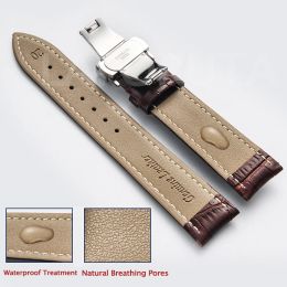Pour Tissot SEIKO CALFSKIN Cuir Watch Band 18 mm 20 mm 22 mm 24 mm Sangle avec bracelet Smartwatch Butter