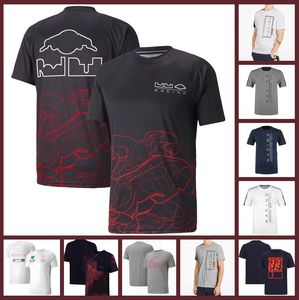 Les vêtements de l'équipe de course de Formule 1 F1 sont populaires en été pour les t-shirts à col rond à manches courtes et respirants à séchage rapide pour hommes.