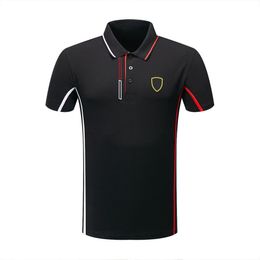 Футболка-поло с лацканами Формулы-1, футболка, повседневная одежда, мужская F1, с половиной рукавом, на заказ, с тем же абзацем