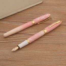 Stylos plume 1PC stylo 10PC encre métal 83 fleurs roses F plume bureau d'affaires fournitures scolaires stylos à encre 230707