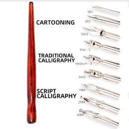 Vulpennen Dainayw 9 Kalligrafiepunten Dip Pen Set voor Cartoon Animation Letters Skeching Art Drawing Mapping Decoratieve ontwerpen 230707