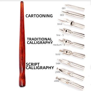 Stylos plume Dainayw 9 plumes de calligraphie Dip Pen Set pour Cartoon Animation Lettrage Skeching Art Dessin Cartographie Dessins décoratifs 230707