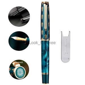 Plumas estilográficas Hongdian N7, pluma estilográfica con émbolo de resina, hermosa tapa de tótem de pavo real verde/gris EF/F 0,4/0,5mm, pluma de tinta de regalo de oficina de escritura suave HKD230904