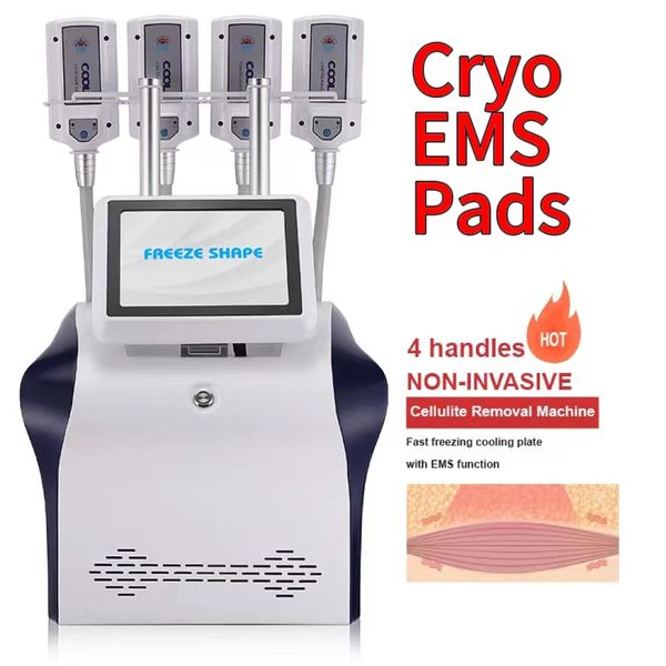 Quatre plaques Non invasives EMS Cryo congélation des graisses amincissantes moins les jambes d'éléphant Machine perte de graisse améliorer la beauté de la forme