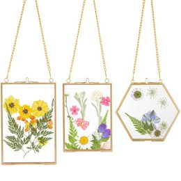 Frame 3 pakjes geperste bloemen glazen frames gouden hangende glazen fotolijsten met ketting drijvende doe-het-zelf-kunstwerk displayframes