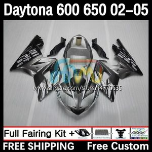 Framekit voor Daytona 650 600 CC 02 03 04 05 Bodywerk 7dh.37 Cowling Daytona 600 Daytona650 2002 2003 2004 2005 Body Daytona600 02-05 Motorfietsbeurt Zilvergrijs