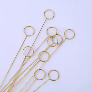 Cadres 40 pcs Mémo Pince Fleur Place Titulaire de la carte Po Clips Fleurs fraîches Cartes florales Bouquet Pick Stick