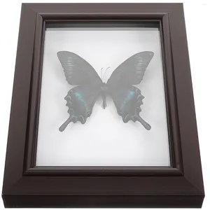 Frames ingelijste vlinders handgemaakte schaduwdoos houten frame unieke taxidermie verzameloers tafelblad muur kunstdecoratie kunstwerk