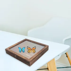 Frames Insect Specimen Box Houten Display Stand Case Bug Gedroogde Bloemen Shadowbox Frame Met Glas