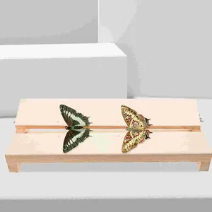 Frames speelgoedgereedschap vlindervleugels experimentele toevoer vlinders verspreiden in insectenmonster maakbordbenodigdheden