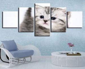 Marco decoración sala de estar arte de la pared 5 piezas impresión gatos muy encantadores pinturas de animales cartel lienzo en módulos cuadros obras de arte 5844454