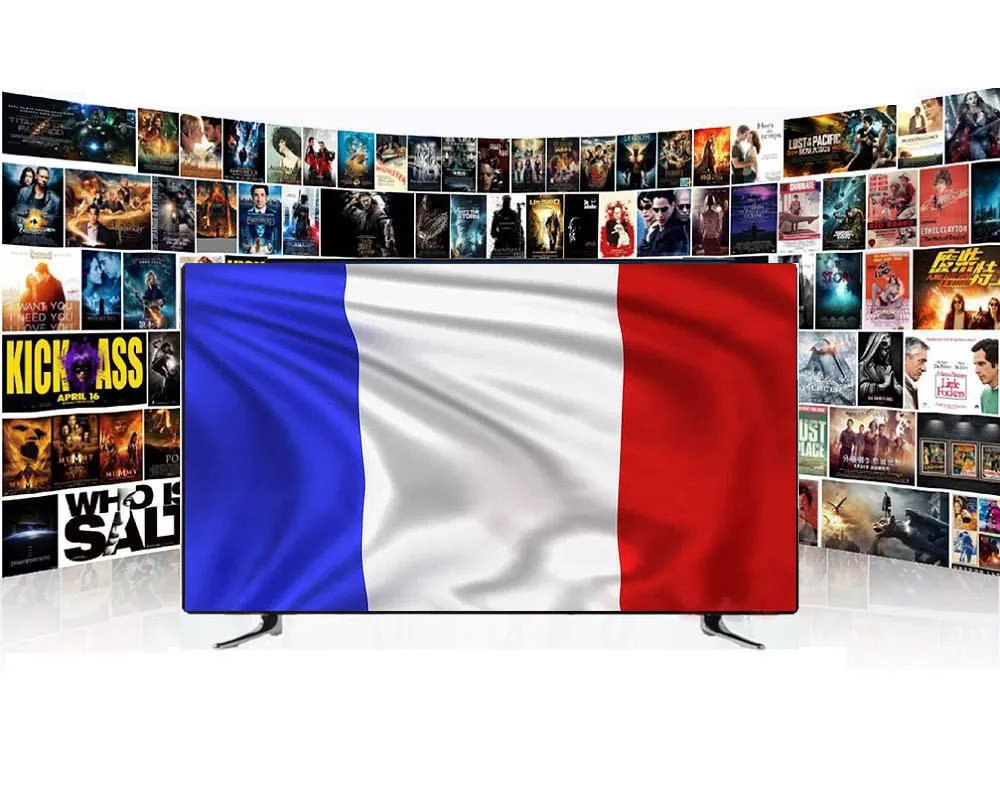 Fransa 12 Mois Anonnement 24 Saat Ücretsiz Deneme Distribütörü Panel Android Kutusu Akıllı TV Canlı Serisi