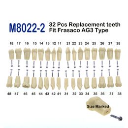 Frasaco AG3 Type Fit dentaire remplacement 32 pcs Modèle de dents à vis Typodont Standard Practice Restoration Restoration Demo M8022-2 240520