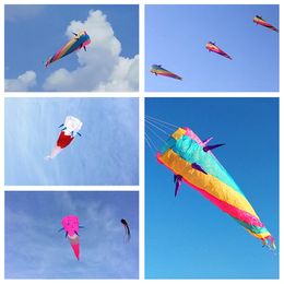 Gratis leveringspakket windsocks vliegertaarten riptop nylon stof opblaasbare kit accessoires 3D kite hanger sportspeelgoed 240428