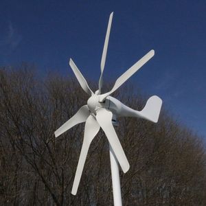 Free Energy China Factory 6 Blades Wind Mounils Wind Turbine Generator 4000W 12V 24V 48V avec contrôleur de charge MPPT pour usage domestique