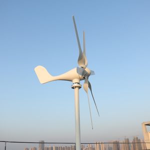 Gratis power horizontale windturbinegenerator voor thuisverlichting windmolen 800W mppt windcontroller sets met 10 jaar garantie