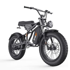 Freego Fat Tire Bicicleta eléctrica 20 '' 1200W Off-Road E Bike con 48V 20Ah Batería extraíble 30 Millas Velocidad máxima Bicicletas eléctricas Bicicleta eléctrica urbana