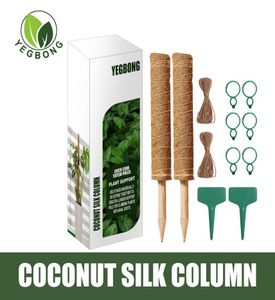 Freight Yegbong OEM ODM Coconut Silk grimpant Polon Plante Plante Pouloir Green Polon Coconut Palm Pil Ferming F9656557