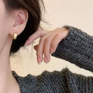 Frans geborsteld 2023 Nieuwe modieuze elegante eenvoudige en kleine, Instagram koude oorbellen